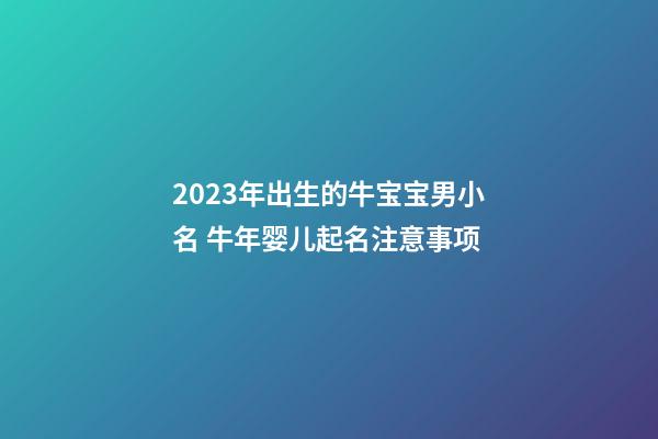 2023年出生的牛宝宝男小名 牛年婴儿起名注意事项